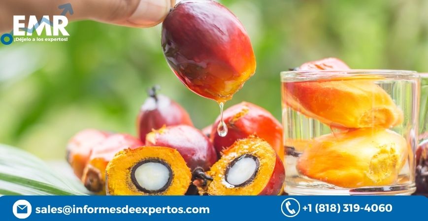 Perspectivas de Crecimiento Sostenible: El Mercado Colombiano del Aceite de Palma Prevé un Aumento Anual del 3.1% hasta 2028